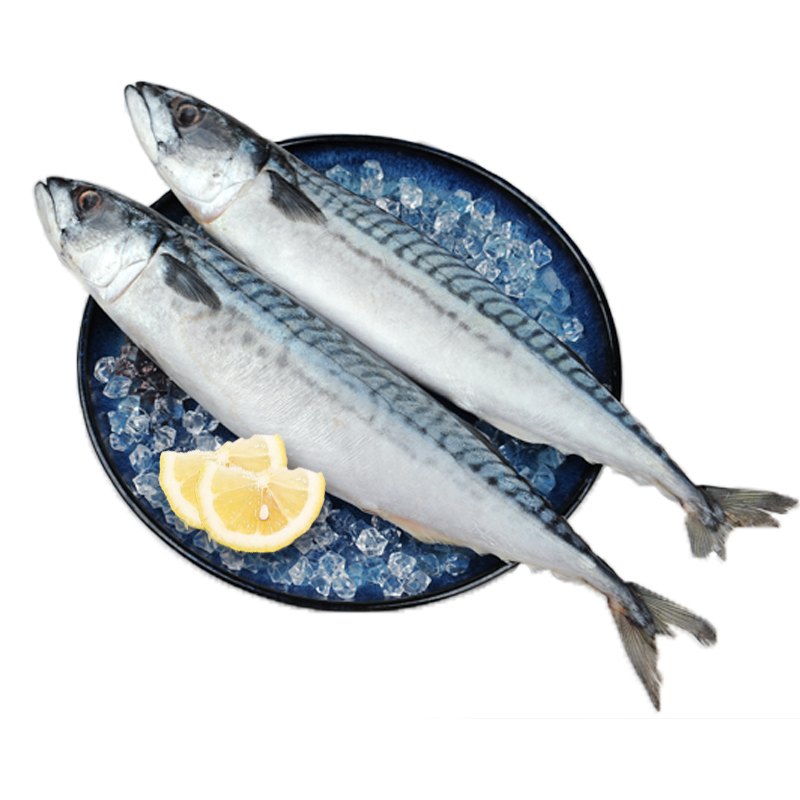 核酸已检测 纯色本味 冷冻青花鱼(鲭鱼）1kg 2条装 生鲜 烧烤食材 海鲜水产