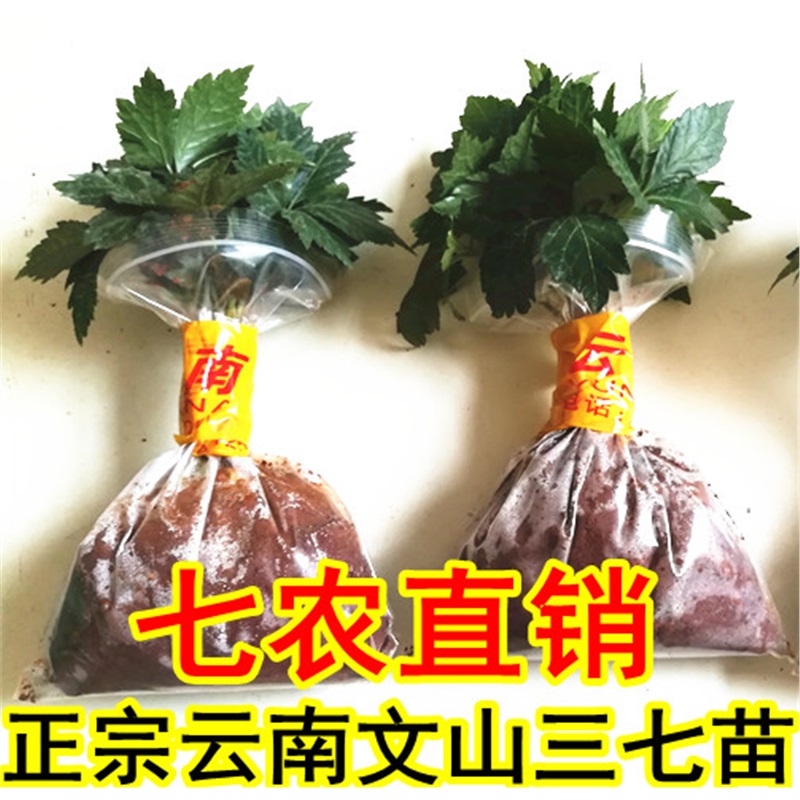 ���п�   ������ɽ�����������������ߺ������� 1��������10��  28Ԫ