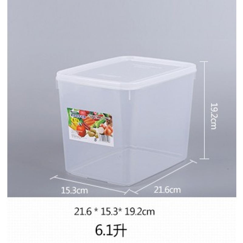 日本SP SAUCE保鲜盒大容量收纳盒塑料冰箱整理盒冷冻密封盒子 6.1L